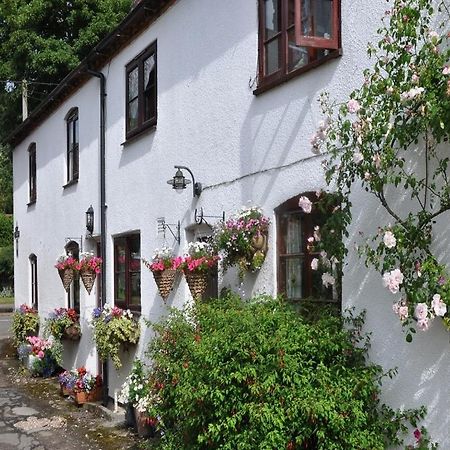 Shepherds Row Bed And Breakfast West Haddon Екстер'єр фото